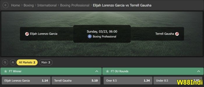 ไกด์การพนันมวย สําหรับมือใหม่ด้วยกลยุทธ์